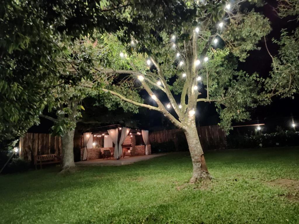 Pousada Do Salto Ventoso / Serra Gaucha Casa 1 Farroupilha Dış mekan fotoğraf